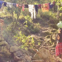 Newsletter März 2015